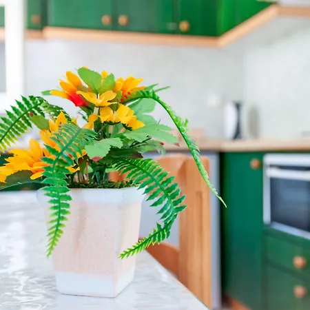 Apartahotel Blumarin 3*