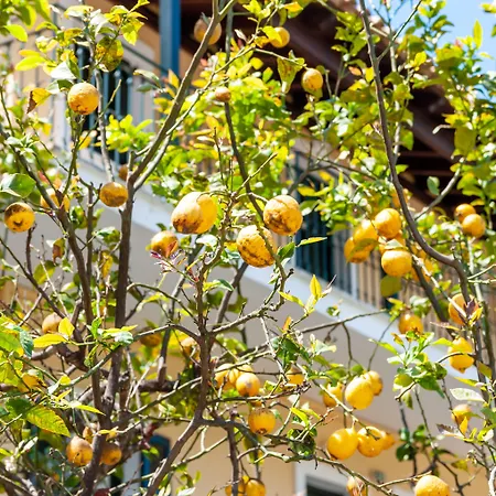 Blumarin Apartahotel 3*